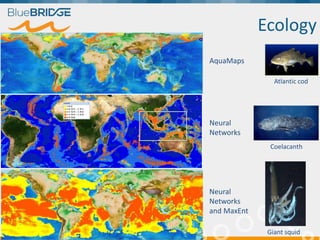 Ecology
Atlantic cod
Coelacanth
Giant squid
AquaMaps
Neural
Networks
Neural
Networks
and MaxEnt
 