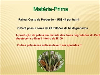 Matéria-Prima Palma: Custo de Produção – US$ 44 por barril O Pará possui cerca de 20 milhões de ha degradados A produção de palma em metade das áreas degradadas do Pará abasteceria o Brasil inteiro de B100  Outras palmáceas nativas devem ser apoiadas !! 