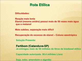 Rota Etílica Dificuldades:  Reação mais lenta Etanol (mesmo anidro) possui mais de 50 vezes mais água que o metanol Mais sabões, separação mais difícil Recuperação do excesso de etanol – Coluna azeotrópica Solução Presente: Fertibom (Catanduva-SP) Já entregou mais de 50 milhões de litros de biodiesel etílico Capacidade autorizada: 50,4 milhões L/ano Soja, sebo, amendoim e algodão 