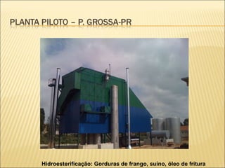 Hidroesterificação: Gorduras de frango, suíno, óleo de fritura 