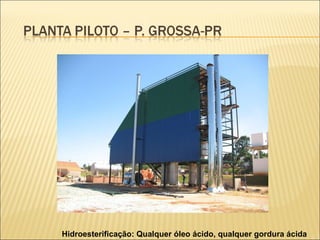 Hidroesterificação: Qualquer óleo ácido, qualquer gordura ácida 