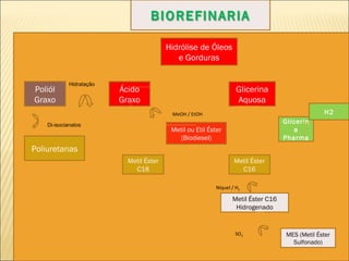 Ácido Graxo Glicerina Aquosa Metil ou Etil Éster (Biodiesel) Metil Éster C16 Hidrogenado Níquel / H 2 MES (Metil Éster Sulfonado) Hidrólise de Óleos e Gorduras Metil Éster C18 Metil Éster C16 SO 3 MeOH / EtOH Glicerina Pharma H2 Poliól Graxo Poliuretanas Di-isocianatos Hidratação 