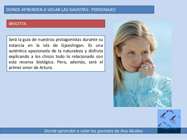 Donde Aprenden A Volar Las Gaviotas