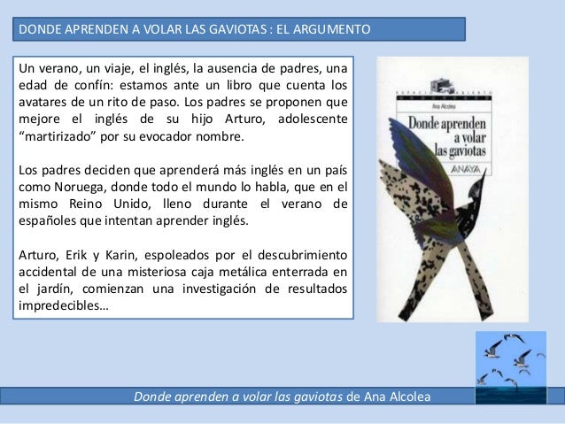 Donde Aprenden A Volar Las Gaviotas