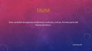FAUNA
Gran variedad de especies endémicas, exóticas y únicas, forman parte del
bioma selvático.
CONTINUAR
 
