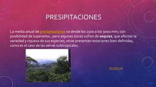 PRESIPITACIONES
La media anual de precipitaciones va desde los 1500 a los 3000 mm, con
posibilidad de superarlos ; pero algunas zonas sufren de sequías, que afectan la
variedad y riqueza de sus especies; otras presentan estaciones bien definidas,
como es el caso de las selvas subtropicales.
REGRESAR
 