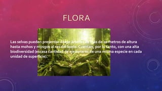 Las selvas pueden presentar desde árboles de más de 20 metros de altura
hasta mohos y musgos al ras del suelo. Cuentan, por lo tanto, con una alta
biodiversidad (escasa cantidad de ejemplares de una misma especie en cada
unidad de superficie).
 