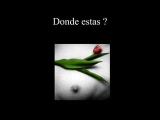 Donde estas ?