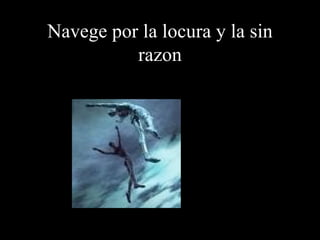 Navege por la locura y la sin razon