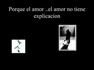 Porque el amor ..el amor no tiene explicacion