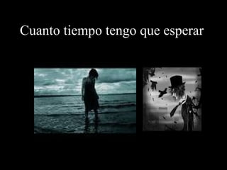 Cuanto tiempo tengo que esperar