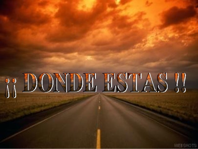 donde estas