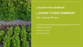 LUGARES PARA SEMBRAR
¿ DONDEY COMO SEMBRAR?
Arq. Carmen Rivera
“ATiempo” programa televisivo conducido por Oscar Nazario
CableColor (Canal 36)
Huacho, Lima, Perú
Diciembre 8, 2016
 