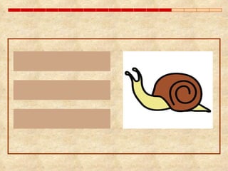 caramelo caracol pomelo 