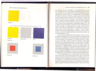 68 SINTAXE DA LINGUAGEM VISUAL
ELEMENTOS BÁSICOS DA COMUNICAÇAo VISUAL 69
. 11
no visual. Em seu círculo cromático, a cor oposta equivale à cor que
teria a inIagem posterior. Mas há outras implicações no ato de olhar-
mos para uma cor pelo tempo suficiente para a produção de uma ima-
gem posterior. Veremos primeiro a cor complementar. Se, por exemplo,
estivermos olhando para o amarelo, o púrpura aparecerá na área vazia
de nossa imagem posterior (prancha 3.3). O amarelo é o matiz mais
próximo ao branco ou à luz; o púrpura é o mais próximo do preto ou
negro. A imagem posterior na prancha 3.3 não será apenas tonalmen-
te mais escura que o valor do amarelo, mas será o tom mediano do
cinza, desde que fossem misturadbs ou equilibrados (prancha 3.4). Um
vermelho de valor tonal médio produziria um verde complementar do
mesmo tom médio. A imagem posterior, portanto, parece reagir se-
gundo um procedimento tonal idêntico ao do pigmento. Quando mis-
turamos duas cores complementares, vermelho e verde, amarelo e
púrpura, elas não apenas neutralizam seu respectivo croma, ou matiz,
que passa a cinza, mas também produzem, através de sua mistura, um
tom intermediário de cinza. '
Há outra maneira de demonstrar esse processo. Duas cores com-
plementares colocadas sobre o mesmo tom médio de cinza influenciam
o tom neutro. O painel cinza com um matiz laranja-avermelhado e quen-
te parece azulado ou frio (prancha 3.5), enquanto acontece o contrá-
rio com o cinza sobre o qual se colocou um quadrado verde-azulado
(prancha 3.6). O fundo cinza parece ter um tom quente e avermelha-
do. Essa experiência mostra que o olho vê o matiz oposto ou contras-
tante não só na imagem posterior, mas que, ao mesmo tempo, está
vendo uma cor. O processo é chamado de contraste simultâneo, e sua
importância psicofisiológica vai além de sua importância para a teoria
da cor. É mais uma evidência a indicar a enorme necessidade de se atin-
gir uma completa neutralidade, e, portanto, um repouso absoluto, ne-
cessidade que, no contexto visual, o homem não cessa de demonstrar.
Como a percepção da cor é o mais emocional dos elementos espe-
cíficos do processo visual, ela tem grande força e pode ser usada com
muito proveito para expressar e intensificar a informação visual. A cor
não apenas tem um significado universalmente compartilhado através
da experiência, como também um valor informativo específico, que se
dá através dos significados simbólicos a ela vinculados. Além do signi-
ficado cromático extremamente permutável da cor, cada um de nós tem
Prancha 3.3
AMARELO
Prancha 3.4
CINZA MÉDIO
---7
ROXO
Prancha 3.5
Prancha 3.6
 