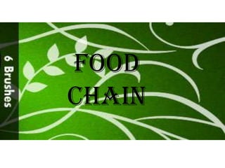 FOOD
CHAIN
 