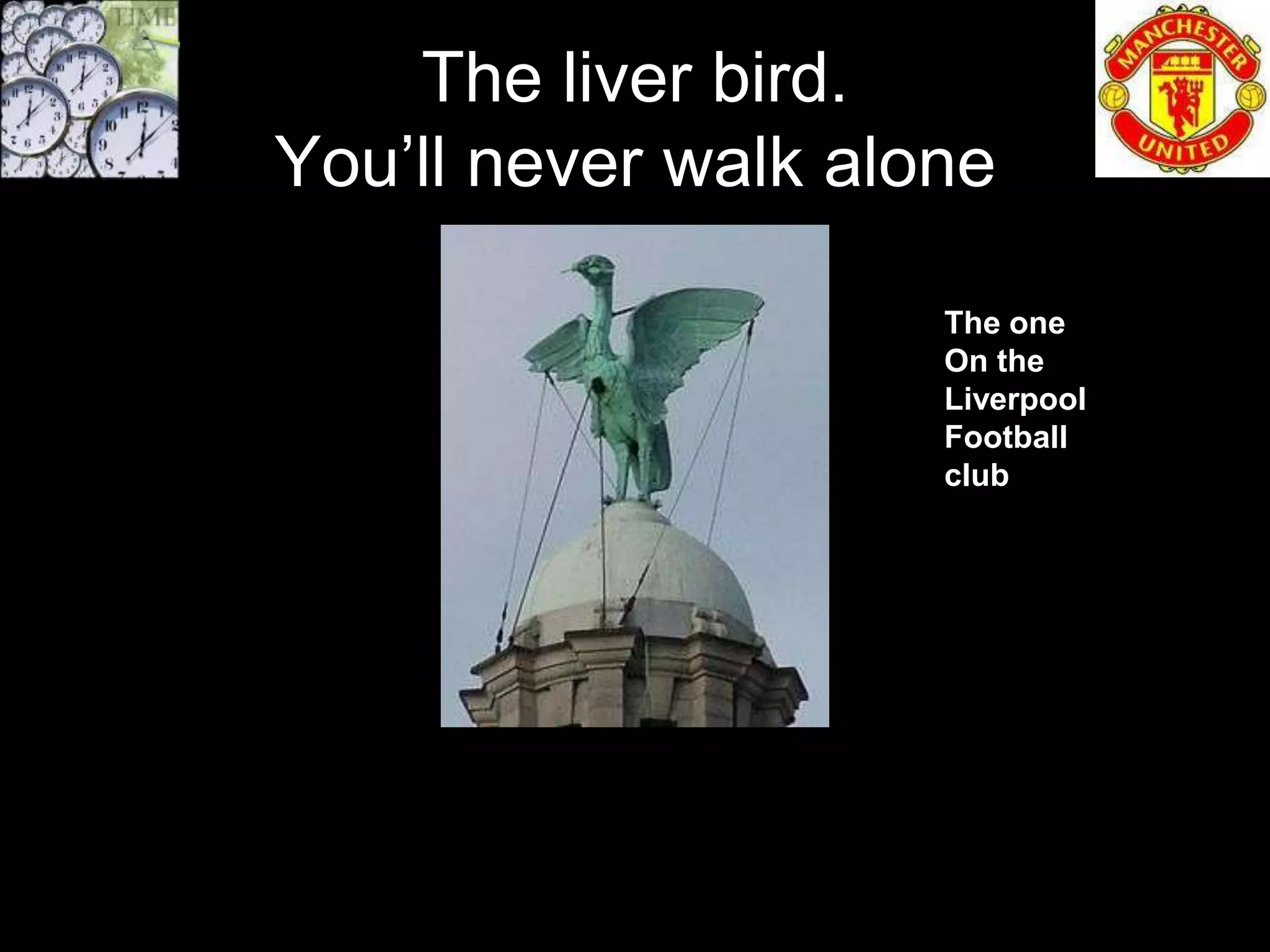 The liver bird.
You’ll never walk alone

                     The one
                     On the
                     Liverpool
                     Football
                     club
 