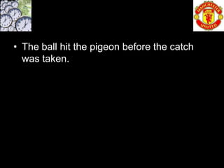 • The ball hit the pigeon before the catch
  was taken.
 