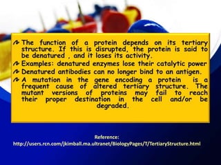 Reference:
http://users.rcn.com/jkimball.ma.ultranet/BiologyPages/T/TertiaryStructure.html
 