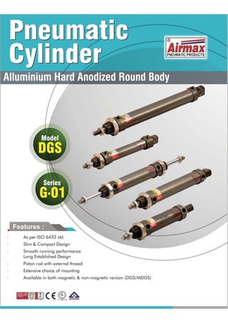 DGS Pneumatic Cylinders