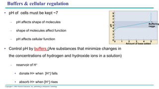 Copyright © 2005 Pearson Education, Inc. publishing as Benjamin Cummings
1
0
0
1
2
3
4
5
6
7
8
9
3
Amount of base added
Buffering
range
4 5
2
pH
Buffers & cellular regulation
• pH of cells must be kept ~7
– pH affects shape of molecules
– shape of molecules affect function
– pH affects cellular function
• Control pH by buffers (Are substances that minimize changes in
the concentrations of hydrogen and hydroxide ions in a solution)
– reservoir of H+
• donate H+ when [H+] falls
• absorb H+ when [H+] rises
 