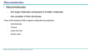 Copyright © 2005 Pearson Education, Inc. publishing as Benjamin Cummings
Macromolecules
• Macromolecules
– Are large molecules composed of smaller molecules
– Are complex in their structures
•Four of the classes of life’s organic molecules are polymers
– Carbohydrates
– Proteins
– Lipids and Fats
– Nucleic acids
 