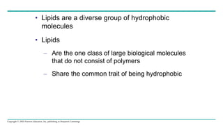 Copyright © 2005 Pearson Education, Inc. publishing as Benjamin Cummings
• Lipids are a diverse group of hydrophobic
molecules
• Lipids
– Are the one class of large biological molecules
that do not consist of polymers
– Share the common trait of being hydrophobic
 