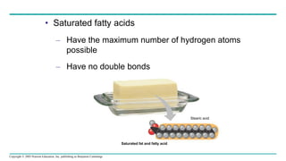 Copyright © 2005 Pearson Education, Inc. publishing as Benjamin Cummings
• Saturated fatty acids
– Have the maximum number of hydrogen atoms
possible
– Have no double bonds
Saturated fat and fatty acid
Stearic acid
 
