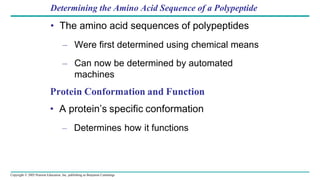 Copyright © 2005 Pearson Education, Inc. publishing as Benjamin Cummings
Determining the Amino Acid Sequence of a Polypeptide
• The amino acid sequences of polypeptides
– Were first determined using chemical means
– Can now be determined by automated
machines
 