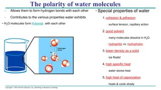 Copyright © 2005 Pearson Education, Inc. publishing as Benjamin Cummings
The polarity of water molecules
– Allows them to form hydrogen bonds with each other
– Contributes to the various properties water exhibits
• H2O molecules form H-bonds with each other
• Special properties of water
1. cohesion & adhesion
– surface tension, capillary action
2. good solvent
– many molecules dissolve in H2O
– hydrophilic vs. hydrophobic
3. lower density as a solid
– ice floats!
4. high specific heat
– water stores heat
5. high heat of vaporization
– heats & cools slowly
 