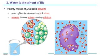 Copyright © 2005 Pearson Education, Inc. publishing as Benjamin Cummings
2. Water is the solvent of life
• Polarity makes H2O a good solvent
– polar H2O molecules surround + & – ions
– solvents dissolve solutes creating solutions
 