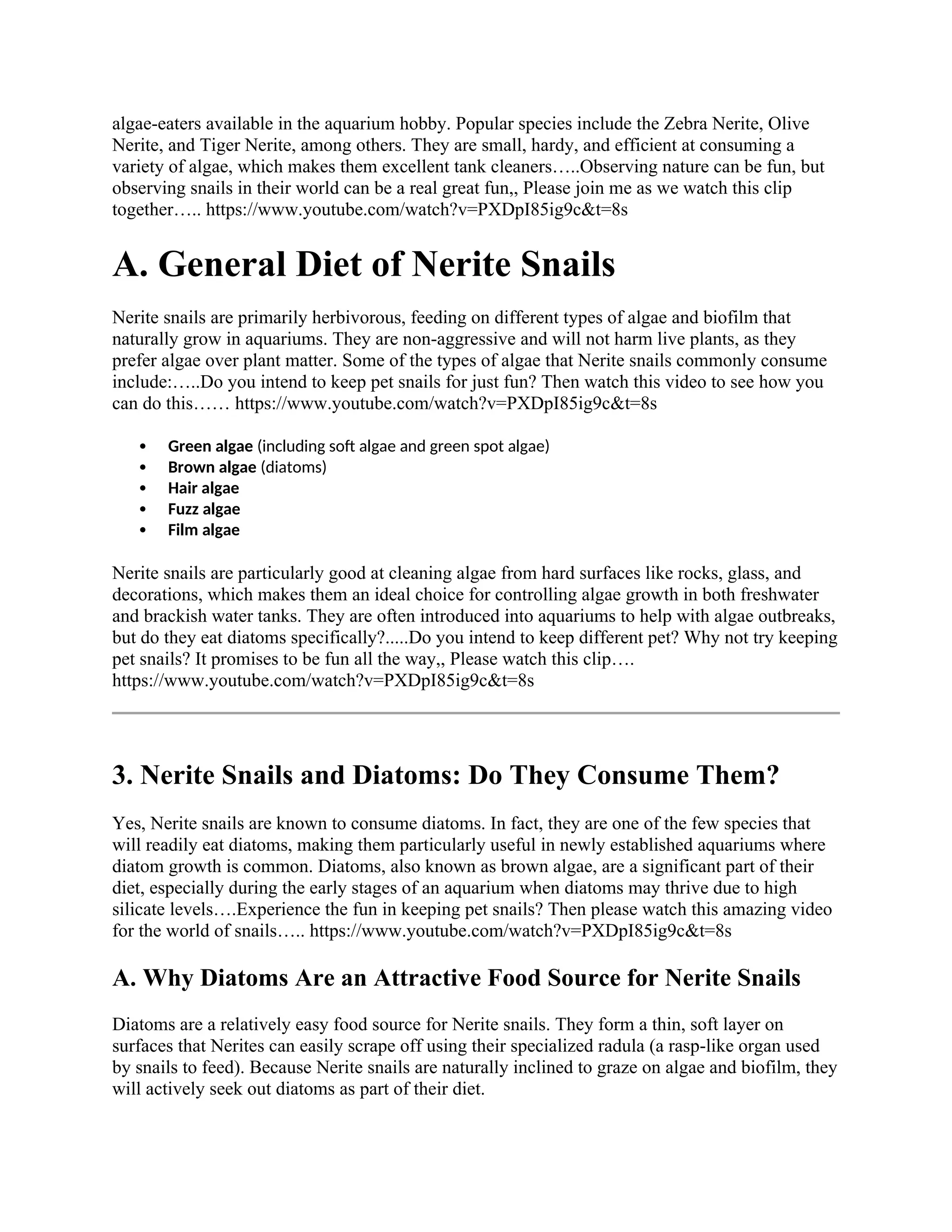 Curated visual reference: Gallery Detail: Do Nerite Snails Consume Diatoms Or They Dont