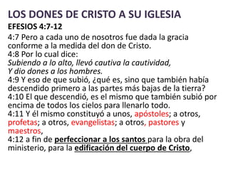 LOS DONES DE CRISTO A SU IGLESIA
EFESIOS 4:7-12
4:7 Pero a cada uno de nosotros fue dada la gracia
conforme a la medida del don de Cristo.
4:8 Por lo cual dice:
Subiendo a lo alto, llevó cautiva la cautividad,
Y dio dones a los hombres.
4:9 Y eso de que subió, ¿qué es, sino que también había
descendido primero a las partes más bajas de la tierra?
4:10 El que descendió, es el mismo que también subió por
encima de todos los cielos para llenarlo todo.
4:11 Y él mismo constituyó a unos, apóstoles; a otros,
profetas; a otros, evangelistas; a otros, pastores y
maestros,
4:12 a fin de perfeccionar a los santos para la obra del
ministerio, para la edificación del cuerpo de Cristo,
 