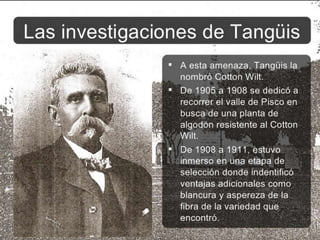 Don fermín tangüis (biografía)