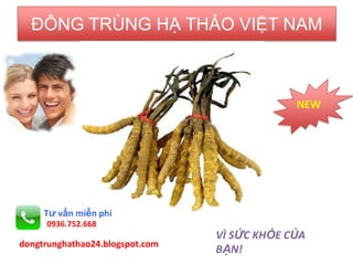 ĐÔNG TRÙNG HẠ THẢO VIỆT NAM
NEW
VÌ SỨC KHỎE CỦA
BẠN!
Tư vấn miễn phí
dongtrunghathao24.blogspot.com
0936.752.668
 