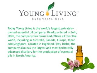 Gary Young sought to help others worldwide live a healthy lifestyle
and achieve success through the use of essential oils....