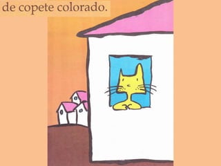 Don gato nuevo 