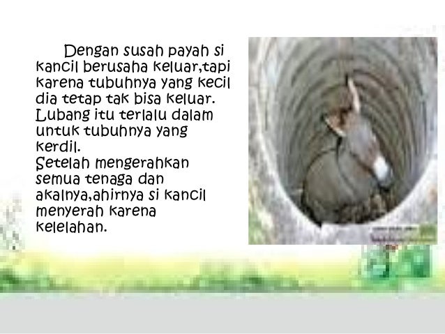 Dongeng Kancil Gajah Dan Langit Runtuh