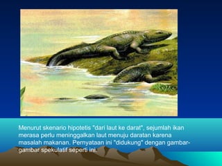 8700 Gambar Hewan Air Dan Darat Gratis