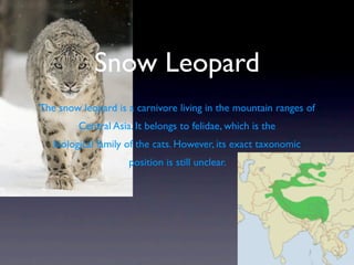 Snow Leopard
The snow leopard is a carnivore living in the mountain ranges of
         Central Asia. It belongs to felidae, which is the
   biological family of the cats. However, its exact taxonomic
                     position is still unclear.
 