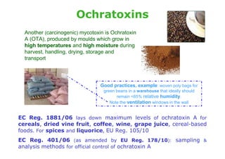 Ochratoxins
  Another (carcinogenic) mycotoxin is Ochratoxin
  A (OTA), produced by moulds which grow in
  high temperatures and high moisture during
  harvest, handling, drying, storage and
  transport




                                 Good practices, example: woven poly bags for
                                  green beans in a warehouse that ideally should
                                        remain <65% relative humidity.
                                     Note the ventilation windows in the wall


EC Reg. 1881/06 lays down maximum levels of ochratoxin A for
cereals, dried vine fruit, coffee, wine, grape juice, cereal-based
foods. For spices and liquorice, EU Reg. 105/10
EC Reg. 401/06 (as amended by EU Reg. 178/10): sampling                            &
analysis methods for official control of ochratoxin A
 
