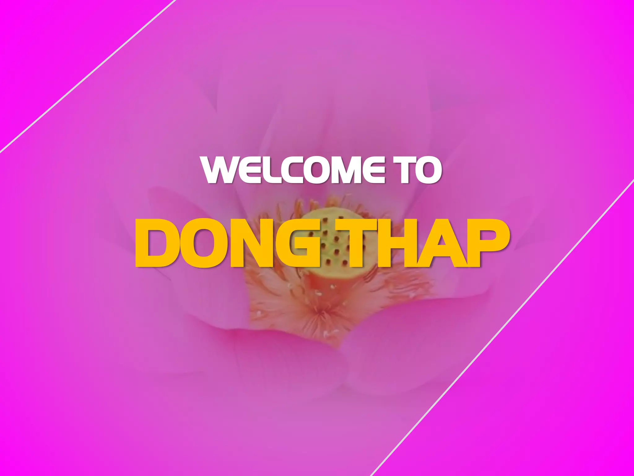 WELCOME TO
DONG THAP
 