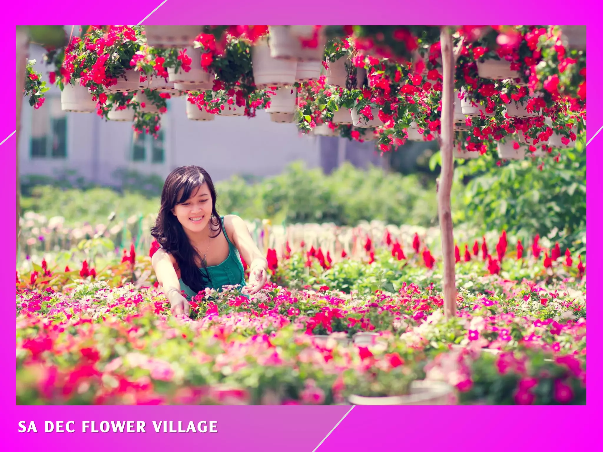 SA DEC FLOWER VILLAGE
 