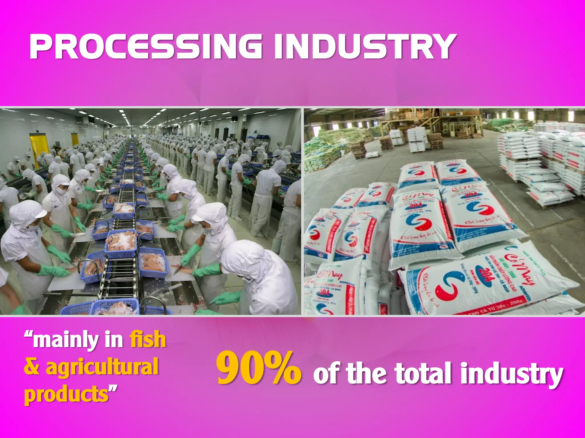 PROCESSING INDUSTRY
“mainly in fish
& agricultural
products”
90% of the total industry
 