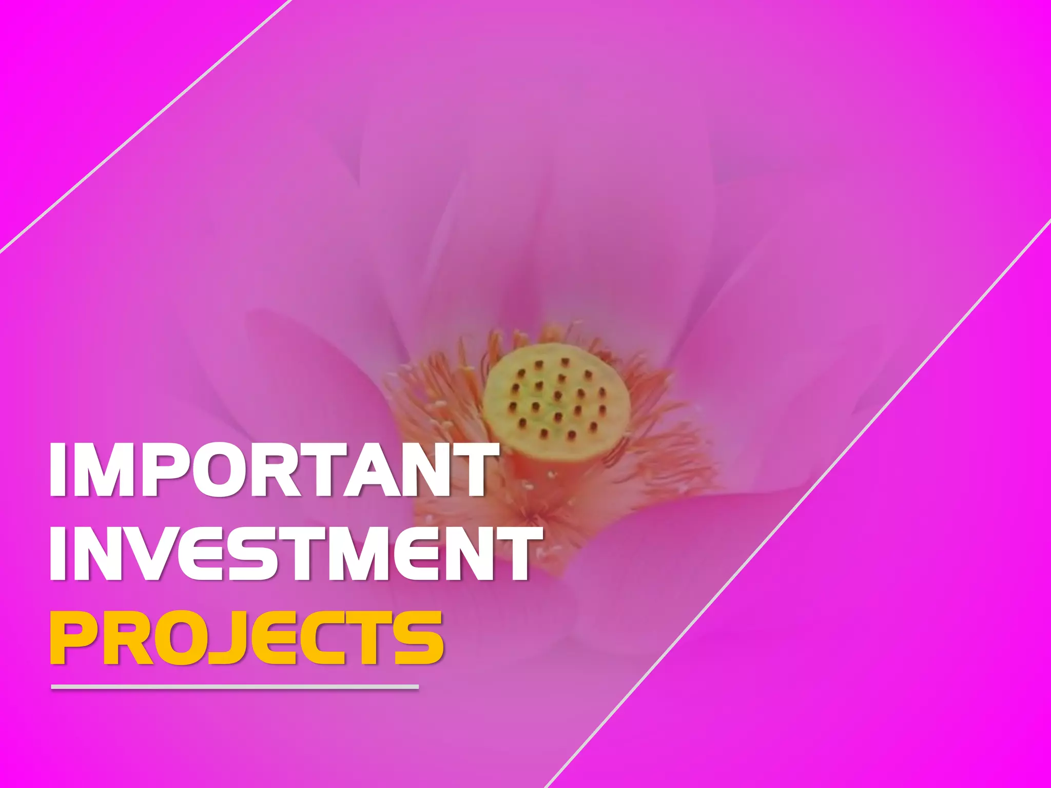 IMPORTANT
INVESTMENT
PROJECTS
 
