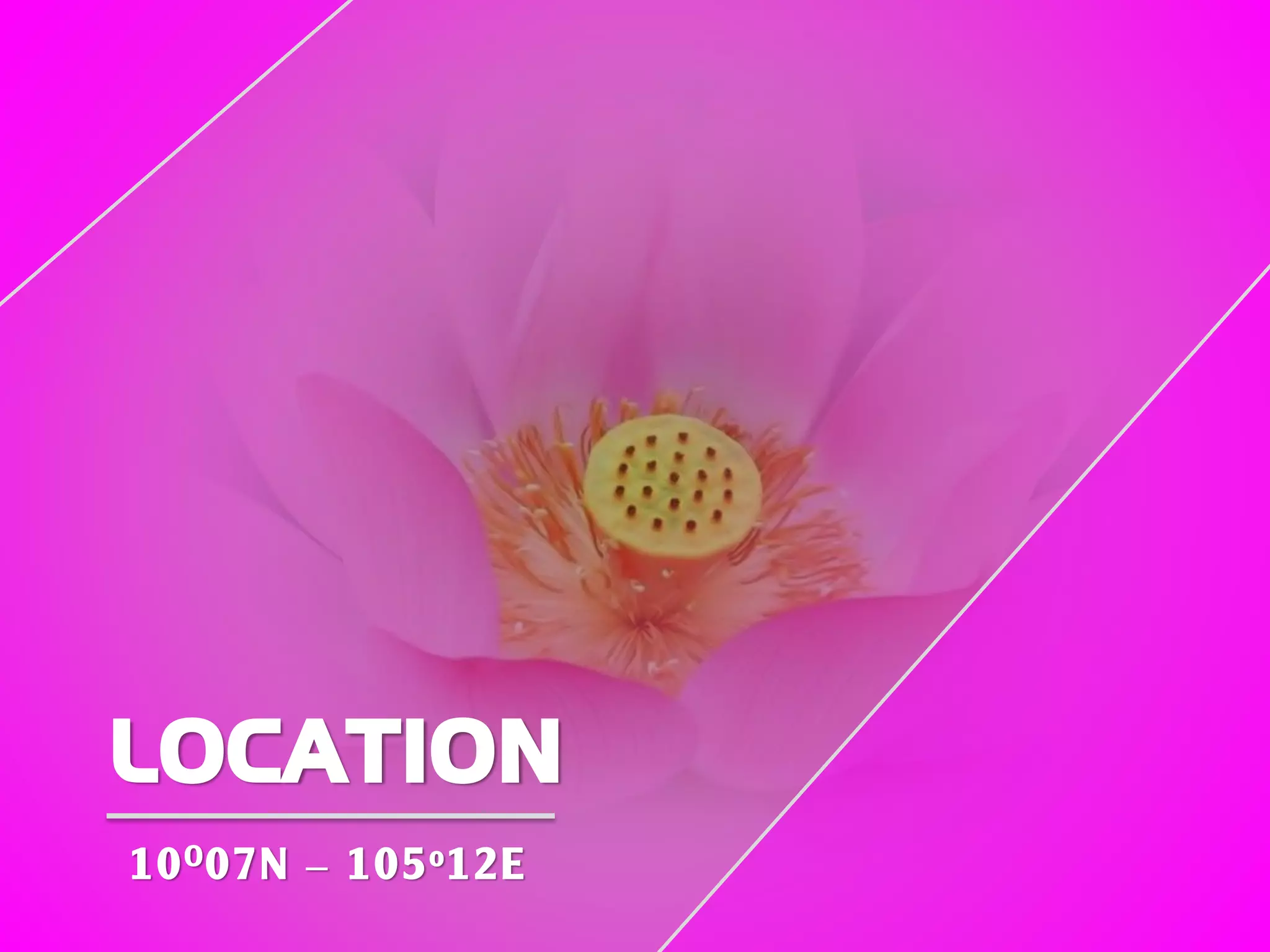 LOCATION
10O07N – 105o12E
 