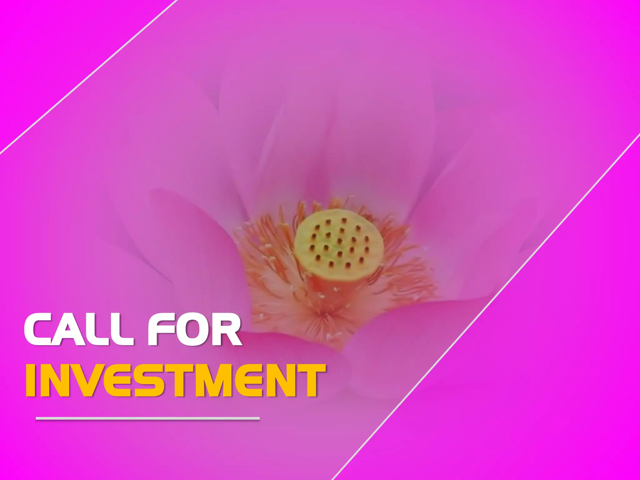 CALL FOR
INVESTMENT
 