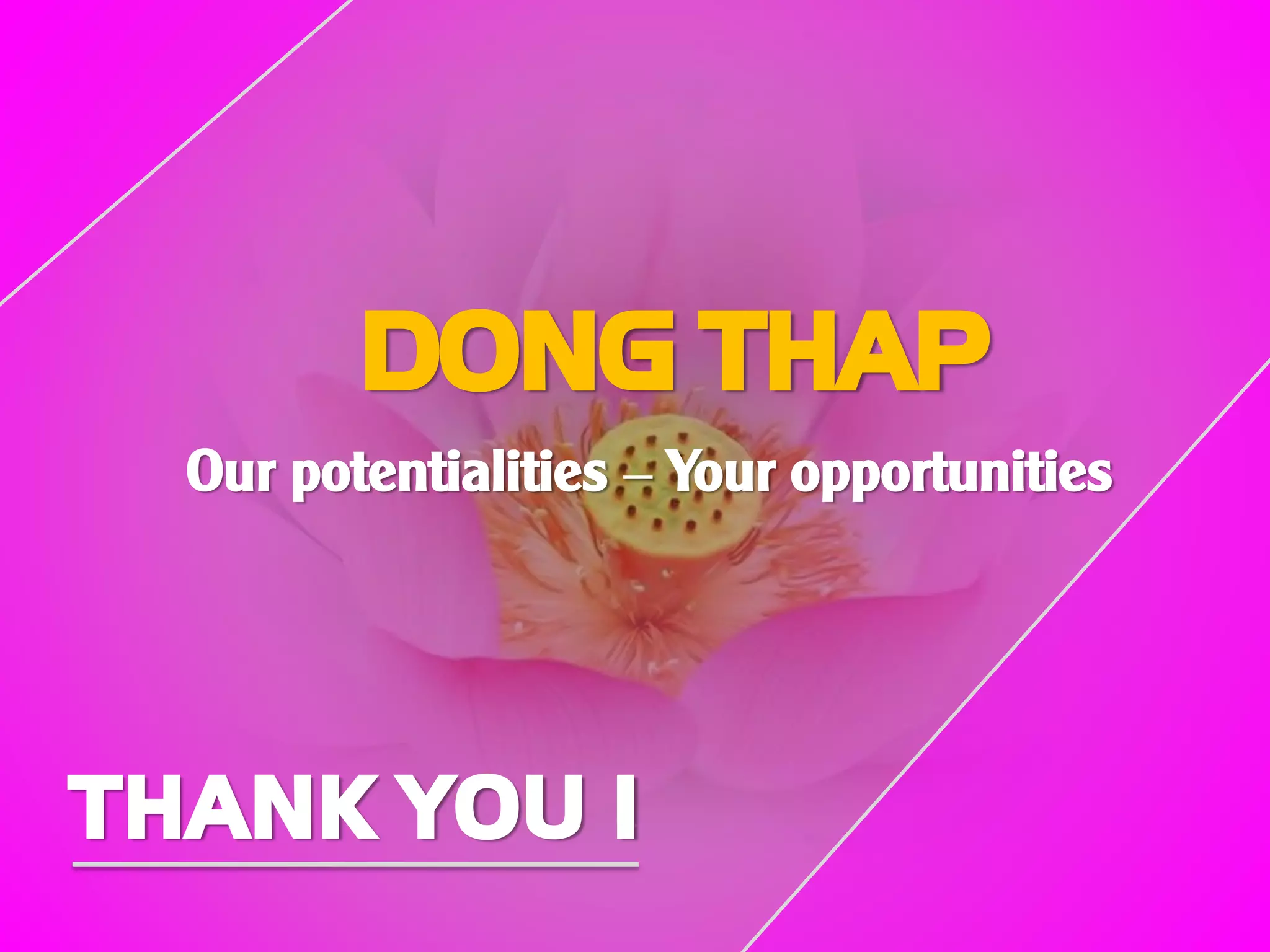 DONG THAP
Our potentialities – Your opportunities
THANK YOU !
 