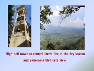 High bell tower to control forest fire in the dry season
and panorama bird eyes view
 