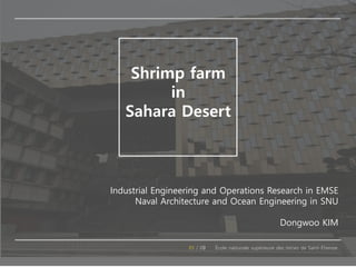 École nationale supérieure des mines de Saint-Étienne
Industrial Engineering and Operations Research in EMSE
Naval Architecture and Ocean Engineering in SNU
Dongwoo KIM
Shrimp farm
in
Sahara Desert
 